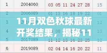 11月双色秋球最新开奖结果，揭秘11月双色秋球最新开奖结果——新手入门指南