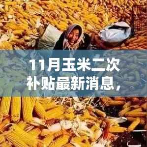 11月玉米二次补贴最新消息,11月玉米二次补贴申领全攻略,一步步教你如何申请最新补贴