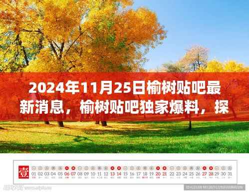 花开无言 第18页