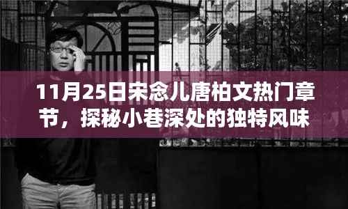 探秘小巷深处的独特风味,宋念儿唐柏文热门章节揭秘