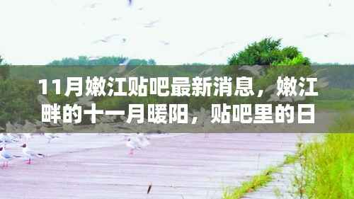 嫩江贴吧十一月最新动态,暖阳下的温情与友情印记