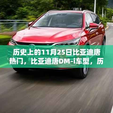 历史上的热门之选,比亚迪唐DM-i车型的综合评测与回顾——聚焦11月25日焦点时刻