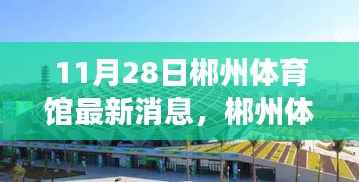 揭秘郴州体育馆科技新纪元,炫酷功能与极致体验的高科技产品亮相报道
