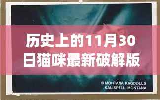 花开无言 第15页