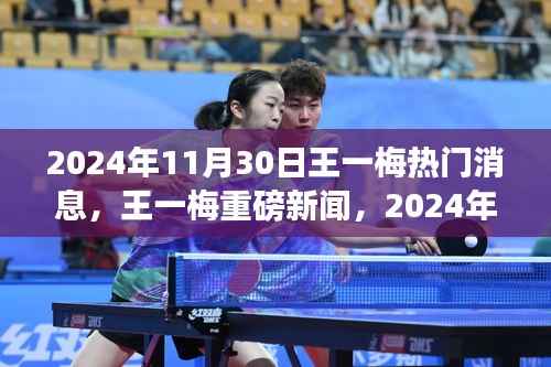 王一梅重磅新闻揭秘,热议背后的真相探究(2024年11月30日)