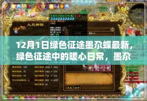 绿色征途中的暖心日常,墨尕蝶的奇妙冬日之旅