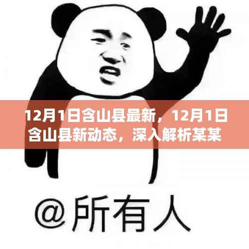 含山县最新动态解析,深度探讨某某观点,12月1日更新