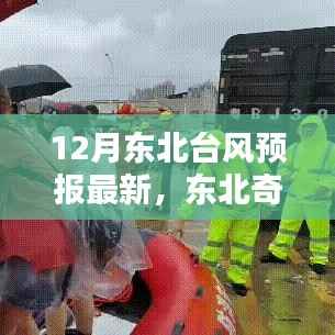 东北奇遇,台风预报下的温情日常