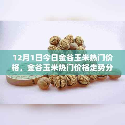金谷玉米热门价格解析,今日走势、深度探究与多方观点碰撞