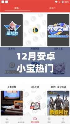 12月安卓小宝热门版本深度解析,功能亮点与用户体验探讨