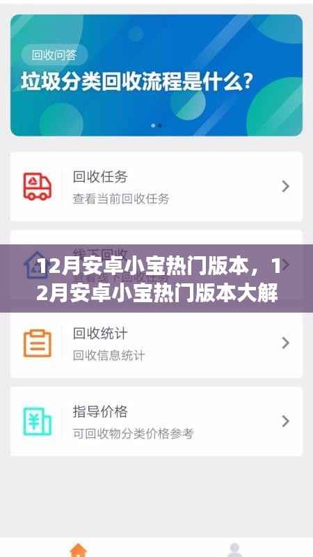 12月安卓小宝热门版本深度解析,功能亮点与用户体验探讨