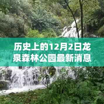 龙泉森林公园,探寻自然美景与内心宁静的和谐之旅(最新消息报道)