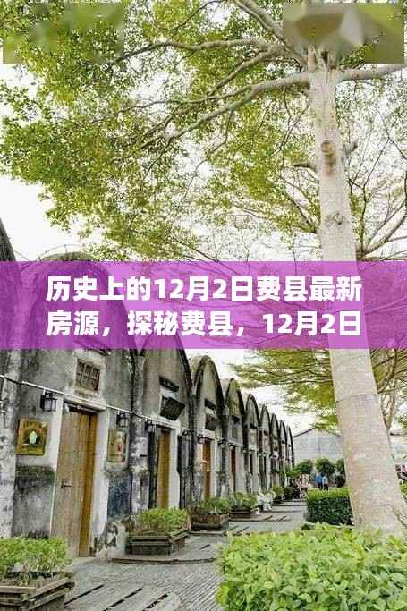 探秘费县,揭秘12月2日小巷深处的最新房源与特色小店