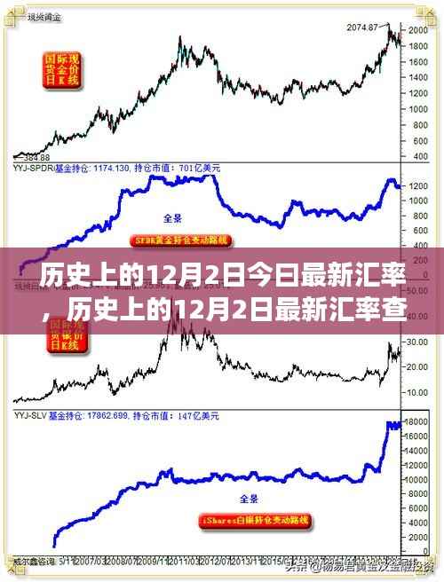 全方位教程,历史上的12月2日最新汇率查询与解读指南——从初学者到进阶用户的必备参考
