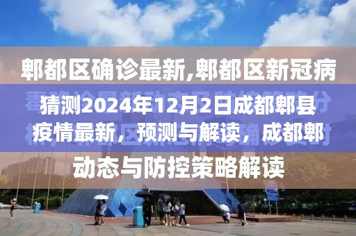 2024年视角下的成都郫县疫情最新动态,预测与解读