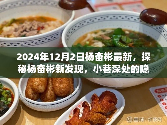 探秘杨奋彬的新发现,小巷深处的隐藏美食天堂(2024年12月2日最新)