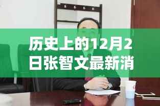 揭秘张智文最新消息,历史上的12月2日动态回顾