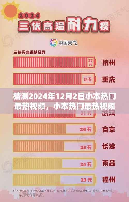 温馨时光,预见未来的欢乐时光——小本热门最热视频猜测(2024年12月2日)
