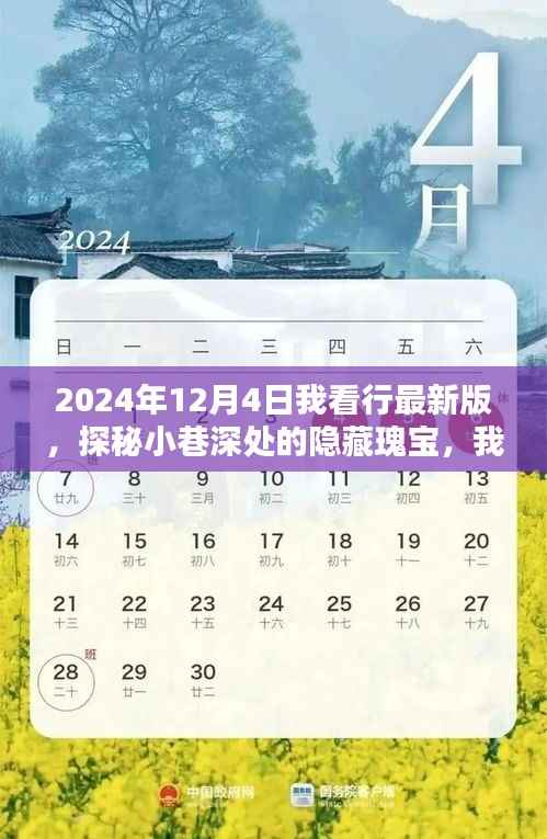 探秘小巷深处的隐藏瑰宝,我在2024年12月4日的独特发现
