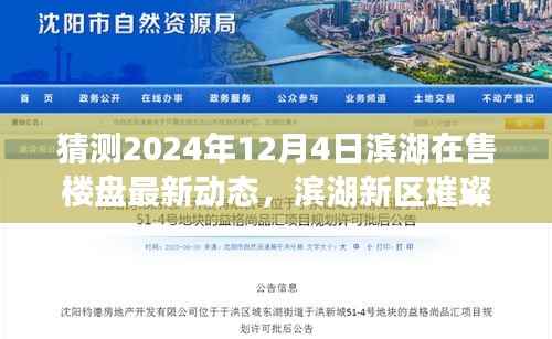 滨湖新区未来璀璨,2024年12月4日楼盘最新动态预测及在售楼盘动态解析