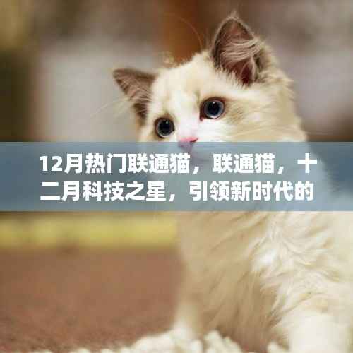 联通猫引领十二月科技风潮，数字化转型之旅启程