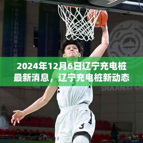 辽宁充电桩新动态揭秘,心灵与自然共舞之旅启程于2024年12月6日