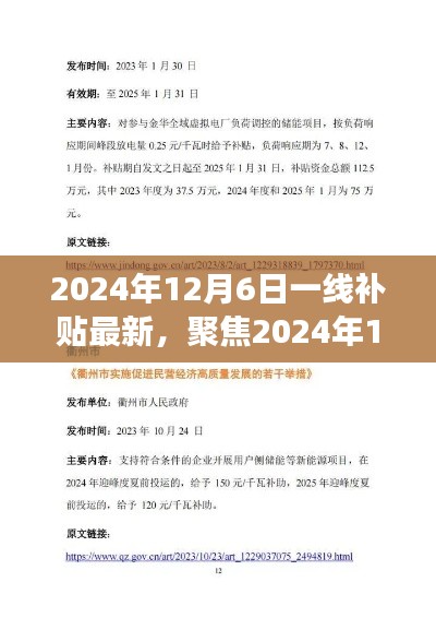 聚焦一线补贴动态,解读最新政策与市场洞察,2024年12月6日更新