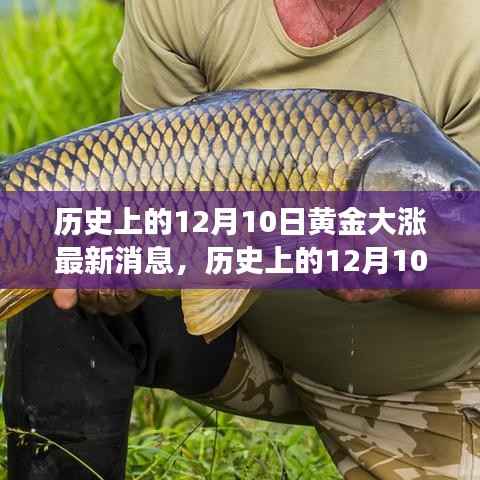 历史上的黄金市场,揭秘黄金大涨背后的秘密与最新洞察(12月10日)
