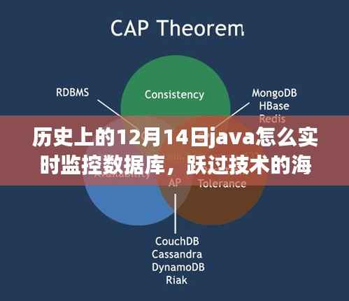 Java助力下的数据库实时监控之旅，历史、技术与成长之路