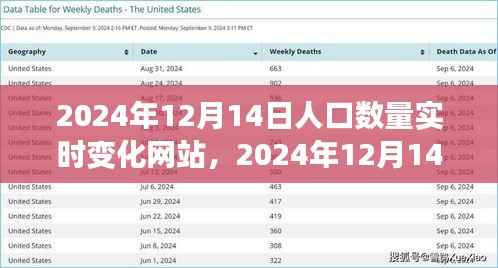 2024年12月14日人口实时变化网站评测与介绍,全面洞悉人口动态