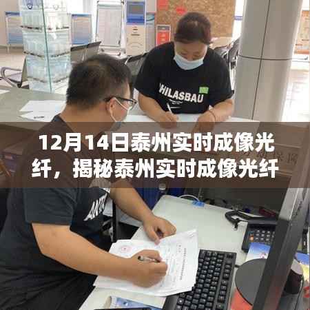 揭秘泰州实时成像光纤技术,前沿科技照亮未来之路发展动态解析