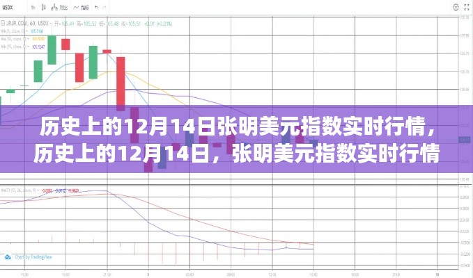 历史上的张明美元指数行情深度解析,12月14日实时行情回顾与解析