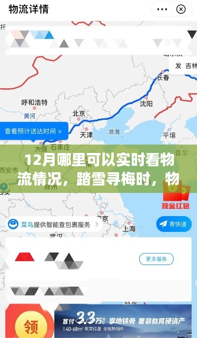 踏雪寻梅时,物流暖心相伴,十二月物流实时追踪与心灵旅行的融合体验
