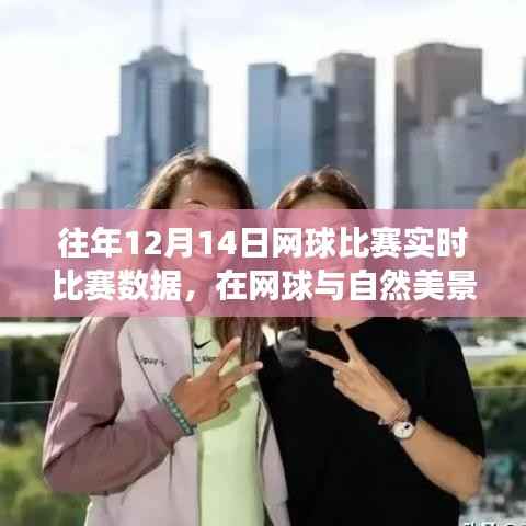 往年12月14日网球比赛探索之旅,自然美景与内心的平和之旅