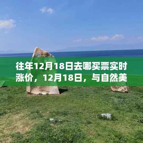 12月18日旅行奇遇,与自然美景的不期而遇,探寻内心平静的旅行与票价实时变动的故事