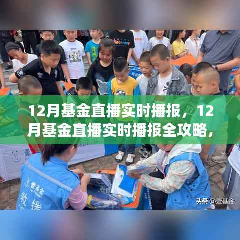 从零起步掌握基金实时播报技能,12月基金直播全攻略