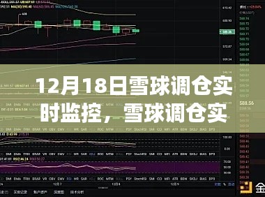 雪球调仓实时监控,洞悉市场动态,精准调整策略策略应对市场变化