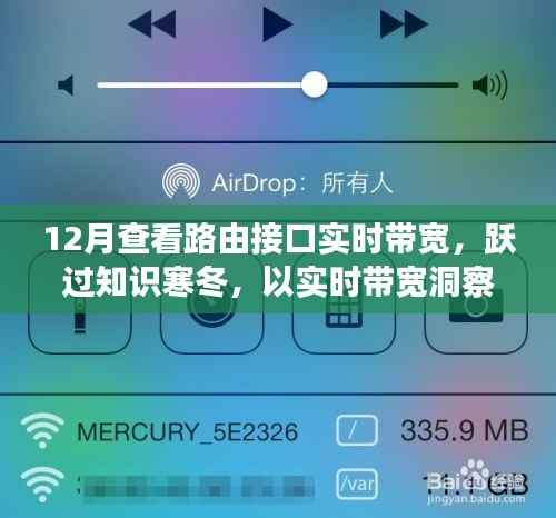 实时带宽监控,点亮成长之路,跃过知识寒冬的必备工具