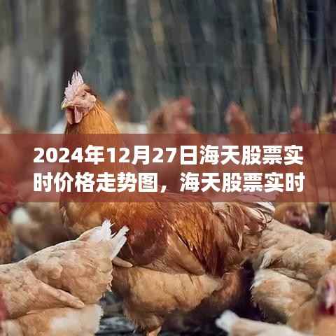 海天股票实时走势图,洞悉未来股票动态的利器(2024年12月27日实时更新)