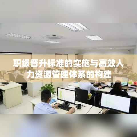 职级晋升标准的实施与高效人力资源管理体系的构建