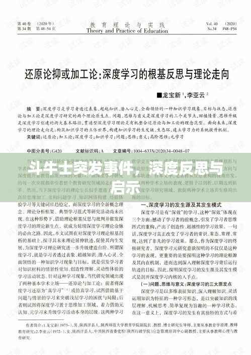 斗牛士突发事件,深度反思与启示