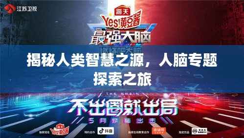 揭秘人类智慧之源,人脑专题探索之旅