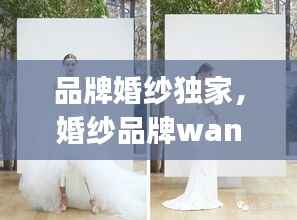品牌婚纱独家,婚纱品牌wang