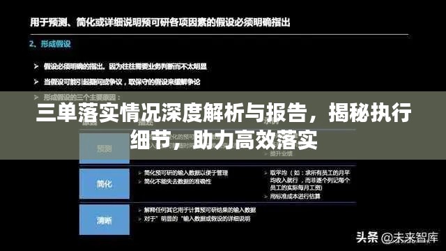 三单落实情况深度解析与报告,揭秘执行细节,助力高效落实