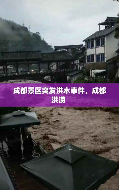 成都景区突发洪水事件,成都洪涝