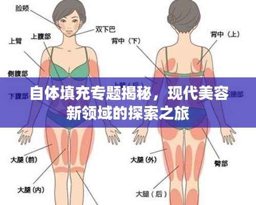 自体填充专题揭秘,现代美容新领域的探索之旅