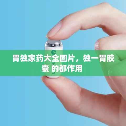 胃独家药大全图片,独一胃胶囊 的都作用