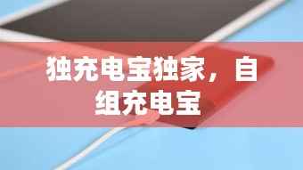 独充电宝独家,自组充电宝