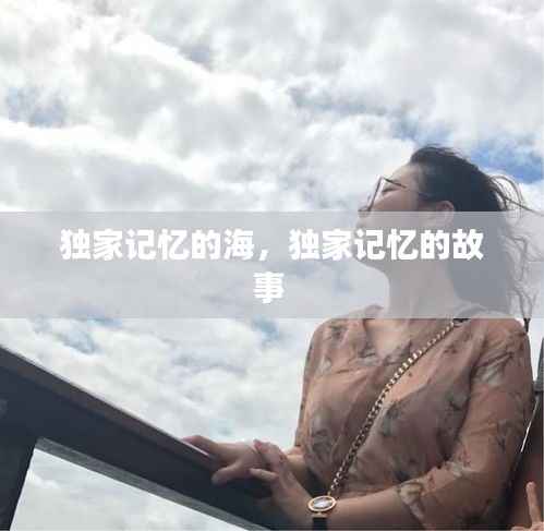独家记忆的海,独家记忆的故事