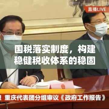 国税落实制度,构建稳健税收体系的稳固基石